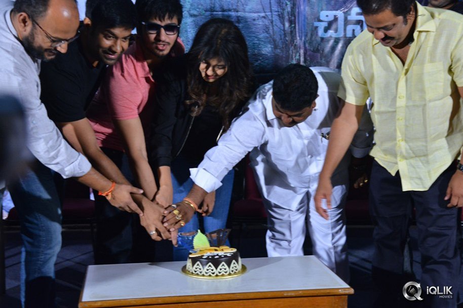 Ekkadiki-Pothavu-Chinnavada-Movie-Thanks-Meet